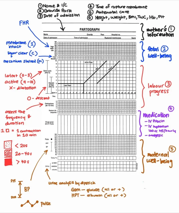 Partograph